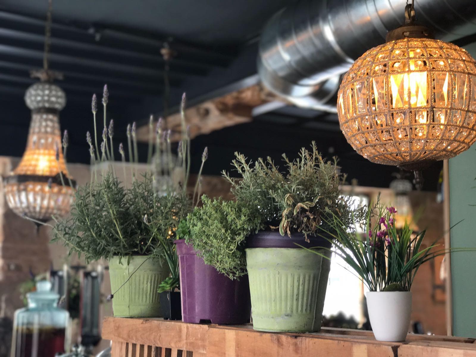 La Esquina, puerto de Ibiza — Foto 4