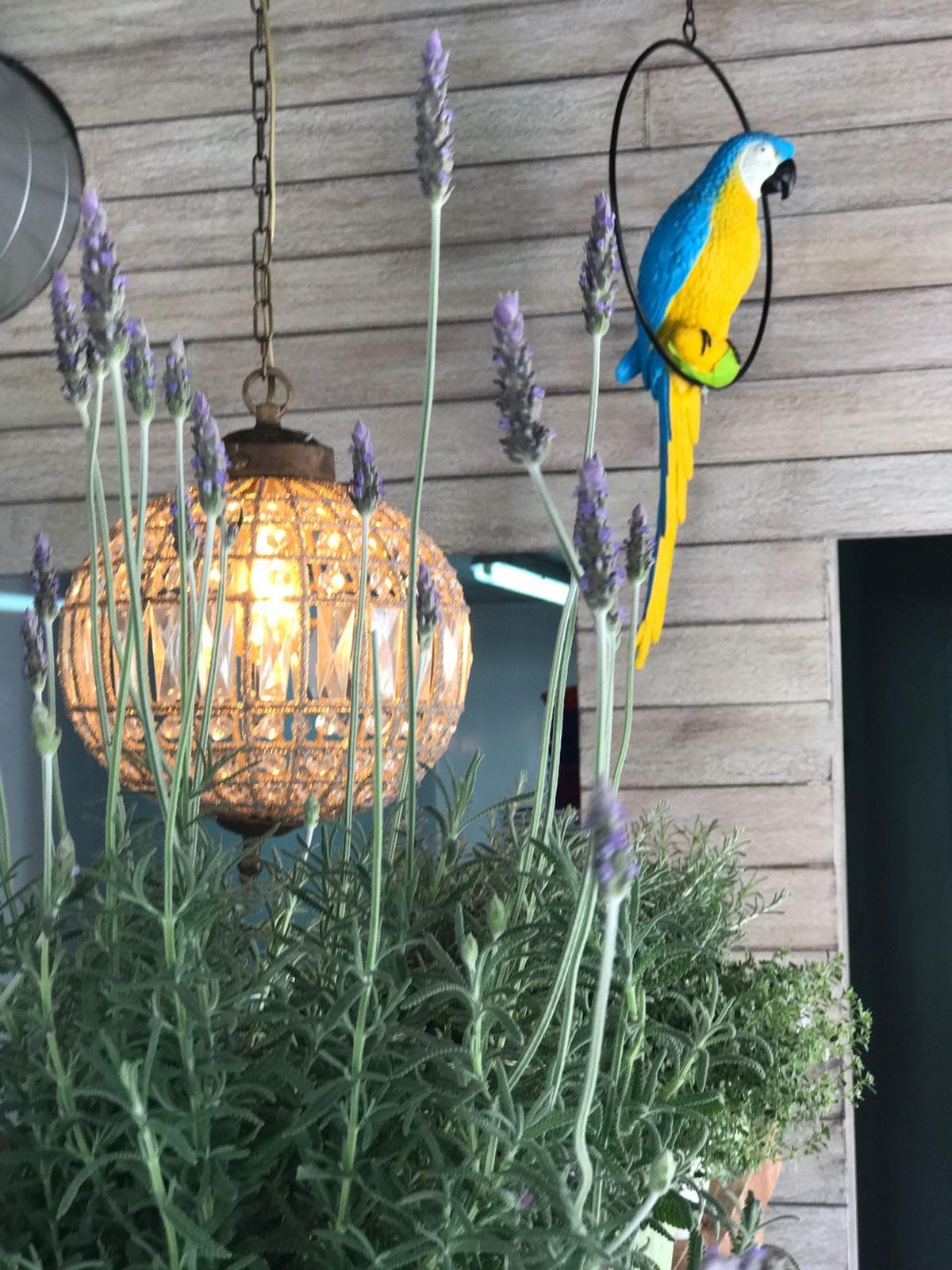 La Esquina, puerto de Ibiza — Foto 6